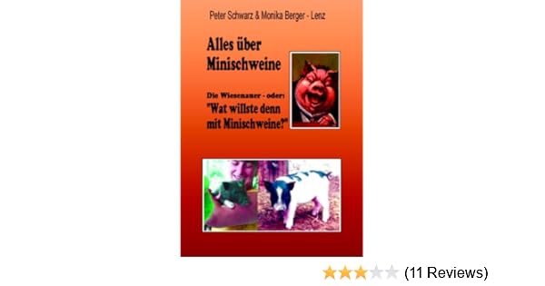 Bottom panel for Description